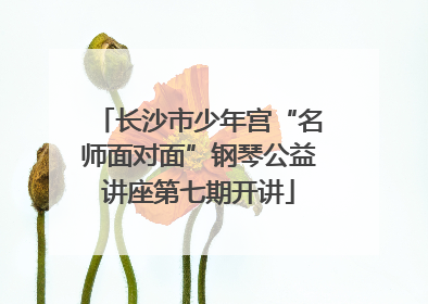 长沙市少年宫“名师面对面”钢琴公益讲座第七期开讲