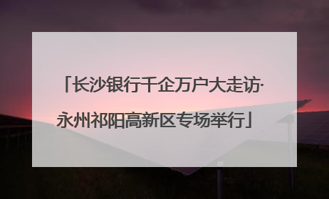 长沙银行千企万户大走访·永州祁阳高新区专场举行