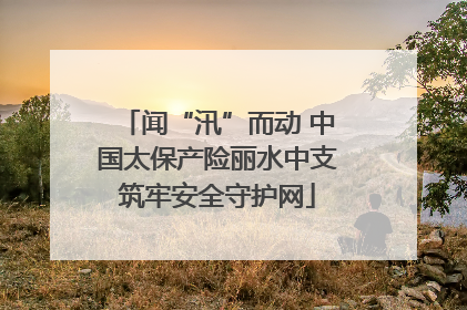 闻“汛”而动 中国太保产险丽水中支筑牢安全守护网