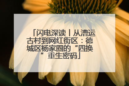 闪电深读丨从漕运古村到网红街区：德城区杨家圈的“四换”重生密码
