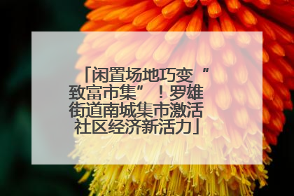 闲置场地巧变“致富市集”！罗雄街道南城集市激活社区经济新活力