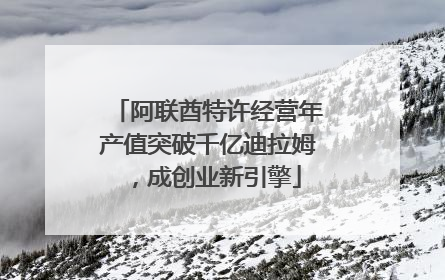 阿联酋特许经营年产值突破千亿迪拉姆，成创业新引擎
