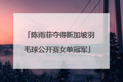陈雨菲夺得新加坡羽毛球公开赛女单冠军