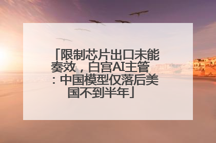 限制芯片出口未能奏效，白宫AI主管：中国模型仅落后美国不到半年