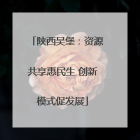 陕西吴堡：资源共享惠民生 创新模式促发展