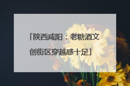 陕西咸阳：老糖酒文创街区穿越感十足