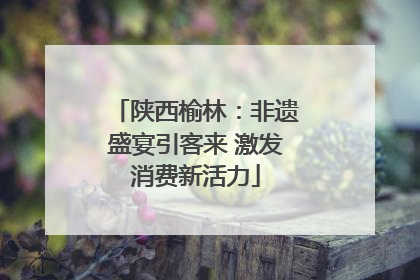 陕西榆林：非遗盛宴引客来 激发消费新活力