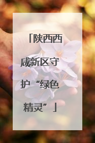陕西西咸新区守护“绿色精灵”