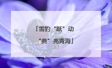 雪豹“跃”动 “典”亮青海