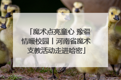 魔术点亮童心 豫疆情暖校园丨河南省魔术支教活动走进哈密