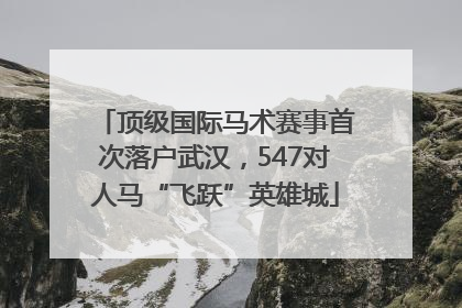 顶级国际马术赛事首次落户武汉，547对人马“飞跃”英雄城