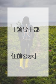 领导干部任前公示