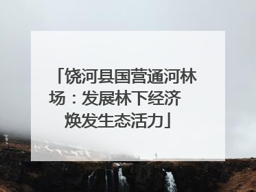 饶河县国营通河林场：发展林下经济 焕发生态活力