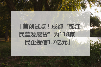 首创试点！成都“锦江民营发展贷”为118家民企授信1.7亿元