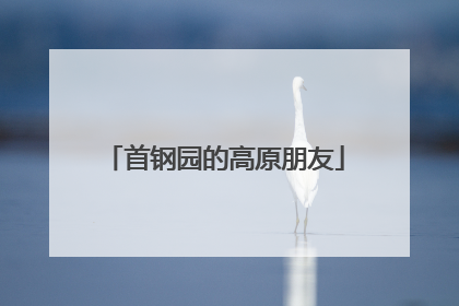 首钢园的高原朋友