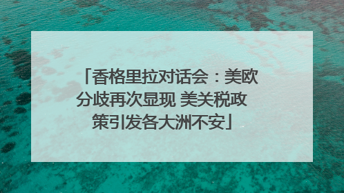 香格里拉对话会：美欧分歧再次显现 美关税政策引发各大洲不安