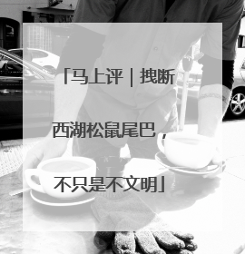马上评｜拽断西湖松鼠尾巴，不只是不文明
