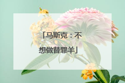 马斯克：不想做替罪羊