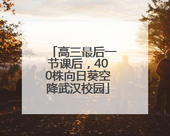 高三最后一节课后，400株向日葵空降武汉校园