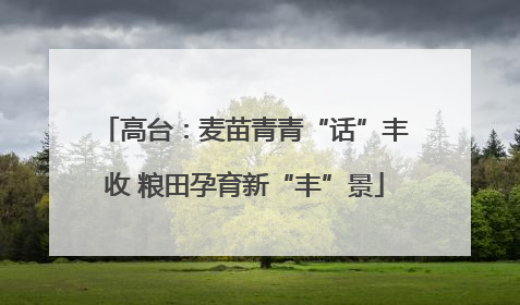 高台：麦苗青青“话”丰收 粮田孕育新“丰”景