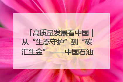 高质量发展看中国｜从“生态守护”到“碳汇生金”——中国石油大庆油田绿色蝶变