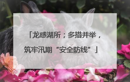 龙感湖所；多措并举，筑牢汛期“安全防线”