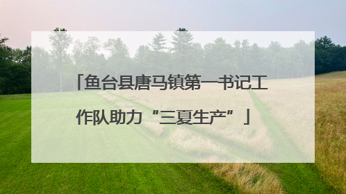 鱼台县唐马镇第一书记工作队助力“三夏生产”