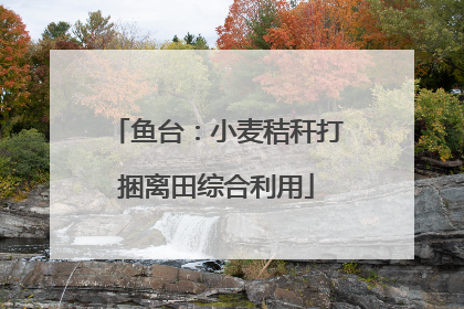鱼台：小麦秸秆打捆离田综合利用
