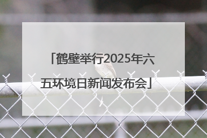 鹤壁举行2025年六五环境日新闻发布会