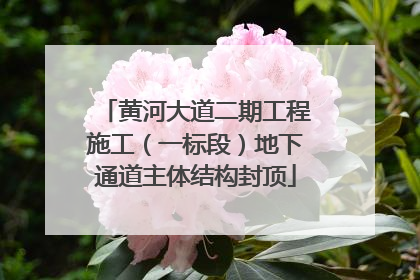 黄河大道二期工程施工（一标段）地下通道主体结构封顶