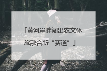 黄河岸畔闯出农文体旅融合新“赛道”