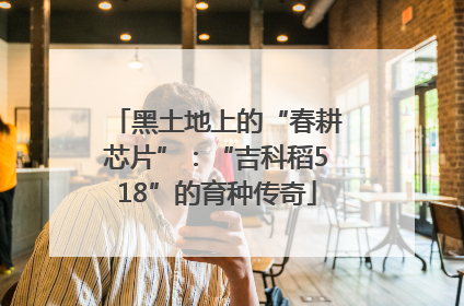 黑土地上的“春耕芯片”：“吉科稻518”的育种传奇