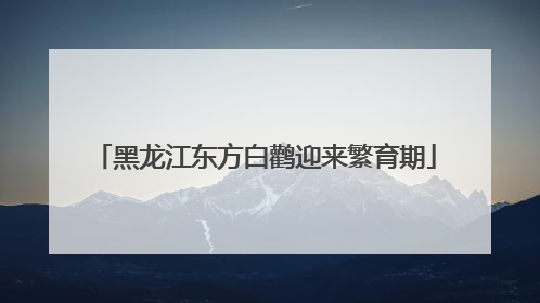 黑龙江东方白鹳迎来繁育期