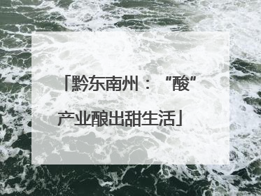 黔东南州：“酸”产业酿出甜生活