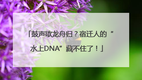 鼓声歇龙舟归？宿迁人的“水上DNA”藏不住了！