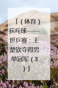（体育）乒乓球——世乒赛：王楚钦夺得男单冠军（3）