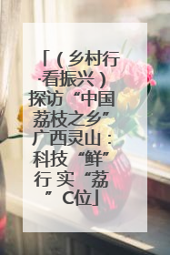 （乡村行·看振兴）探访“中国荔枝之乡”广西灵山：科技“鲜”行 实“荔”C位