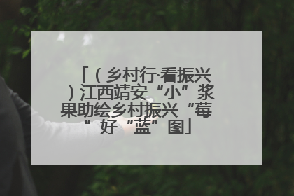 （乡村行·看振兴）江西靖安“小”浆果助绘乡村振兴“莓”好“蓝”图