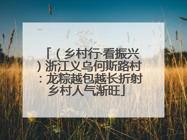 （乡村行·看振兴）浙江义乌何斯路村：龙粽越包越长折射乡村人气渐旺