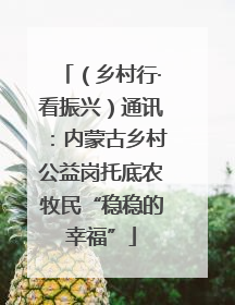 （乡村行·看振兴）通讯：内蒙古乡村公益岗托底农牧民“稳稳的幸福”