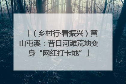 （乡村行·看振兴）黄山屯溪：昔日河滩荒地变身“网红打卡地”
