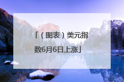 （图表）美元指数6月6日上涨