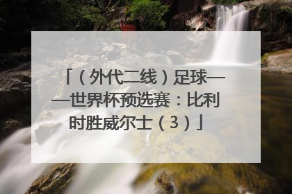 （外代二线）足球——世界杯预选赛：比利时胜威尔士（3）
