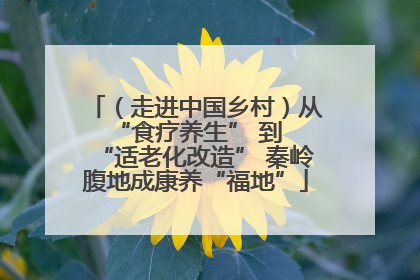 （走进中国乡村）从 “食疗养生” 到 “适老化改造” 秦岭腹地成康养“福地”