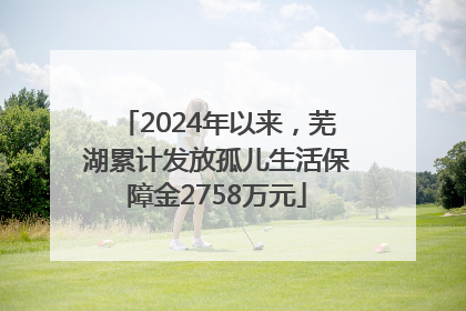 2024年以来，芜湖累计发放孤儿生活保障金2758万元