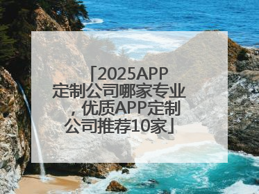 2025APP定制公司哪家专业，优质APP定制公司推荐10家