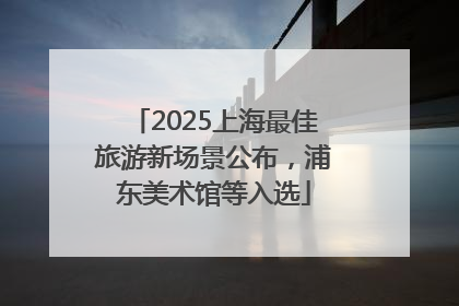 2025上海最佳旅游新场景公布，浦东美术馆等入选