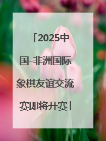 2025中国-非洲国际象棋友谊交流赛即将开赛