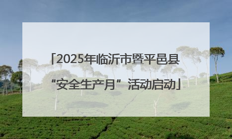 2025年临沂市暨平邑县“安全生产月”活动启动