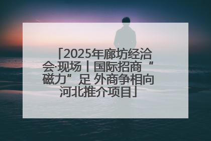 2025年廊坊经洽会·现场丨国际招商“磁力”足 外商争相向河北推介项目